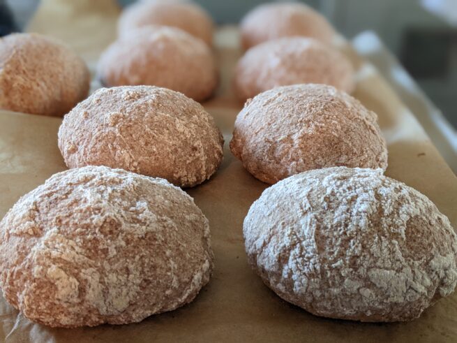 sourdough whole grain buns